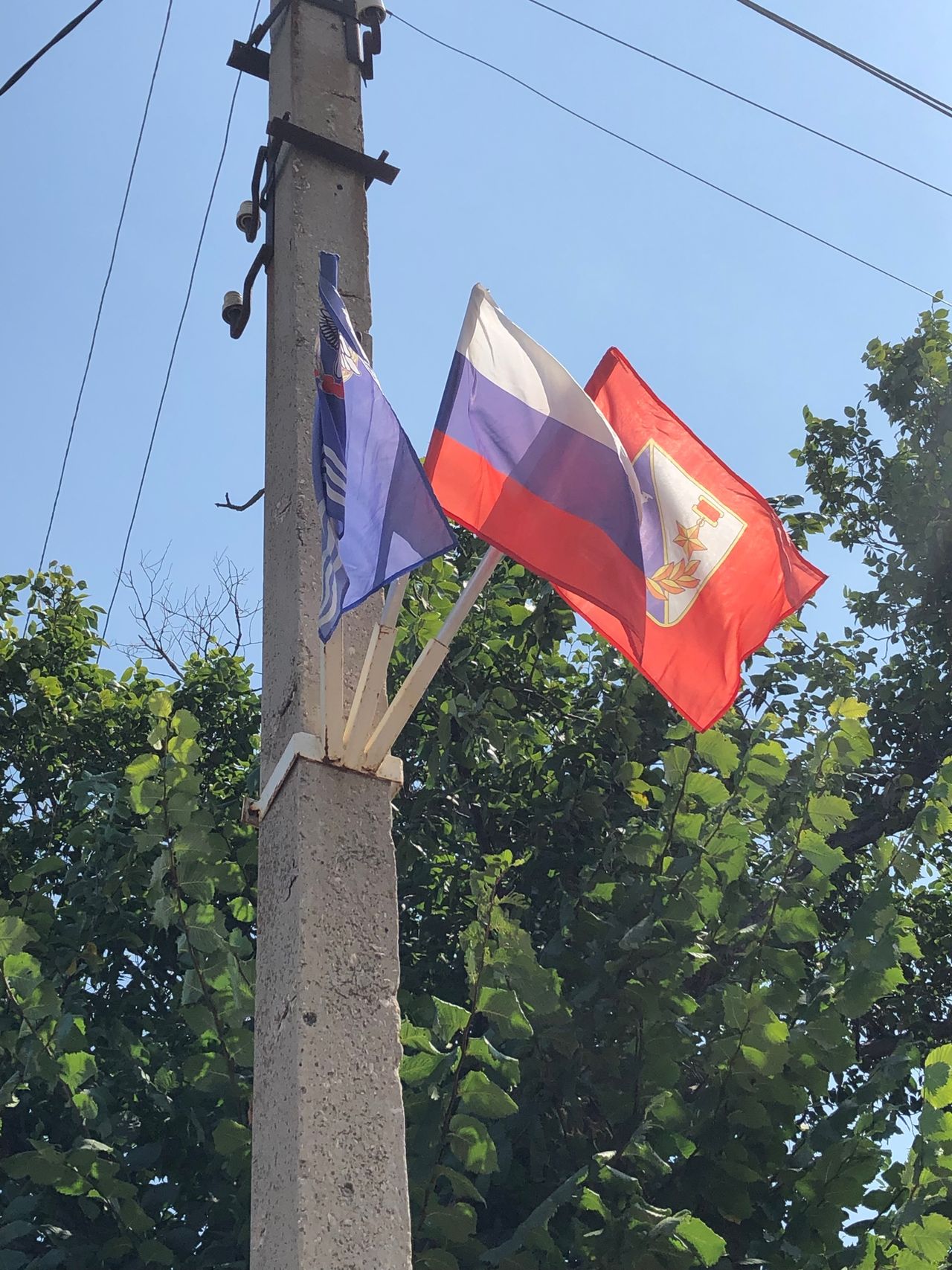 Pozdravlyaem s Dnem Gosudarstvennogo flaga Rossijskoj Federacii  01